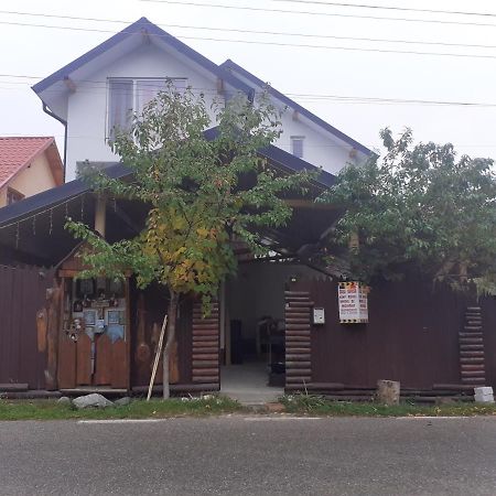Hotel Casa Denisa Vidraru Transfgarasan à Căpăţîneni-Ungureni Extérieur photo