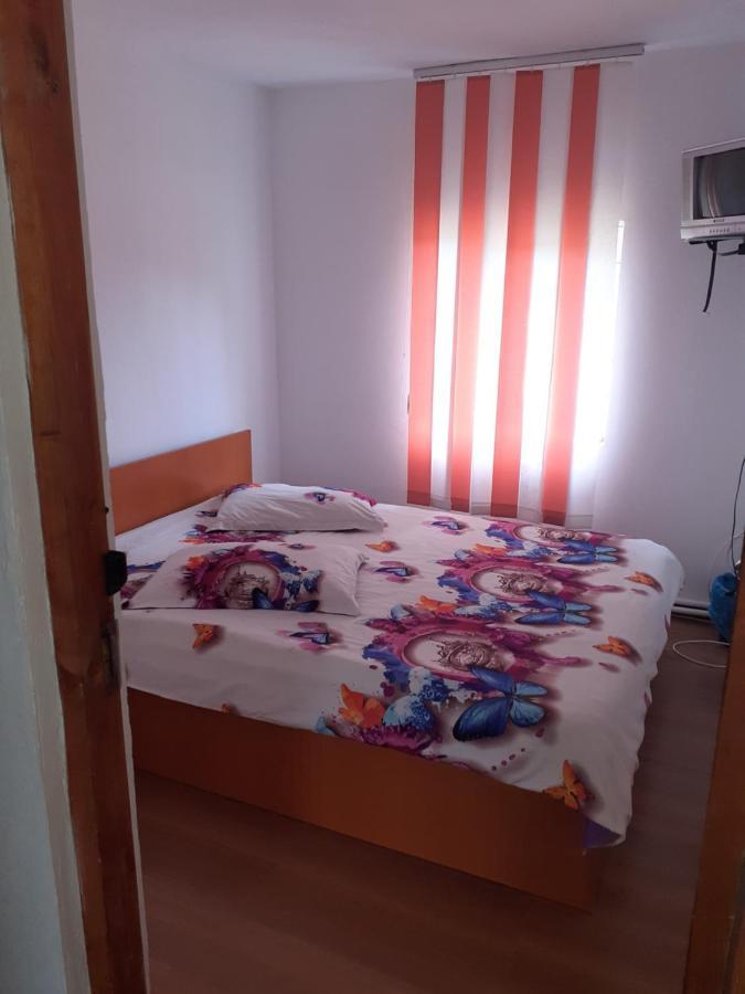 Hotel Casa Denisa Vidraru Transfgarasan à Căpăţîneni-Ungureni Extérieur photo