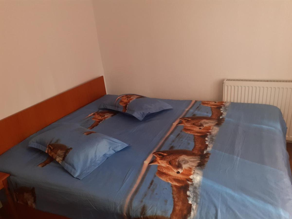 Hotel Casa Denisa Vidraru Transfgarasan à Căpăţîneni-Ungureni Extérieur photo
