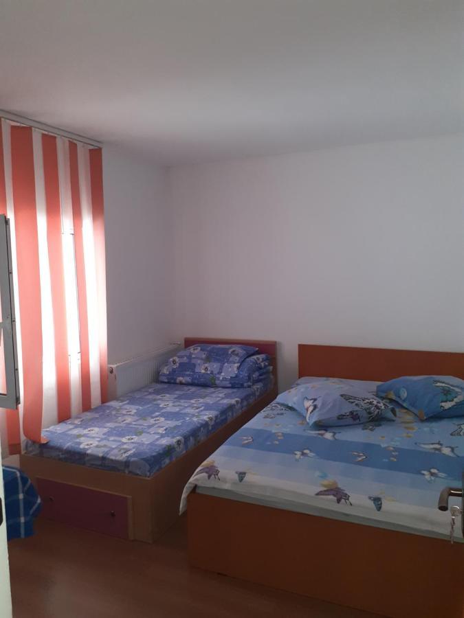 Hotel Casa Denisa Vidraru Transfgarasan à Căpăţîneni-Ungureni Extérieur photo