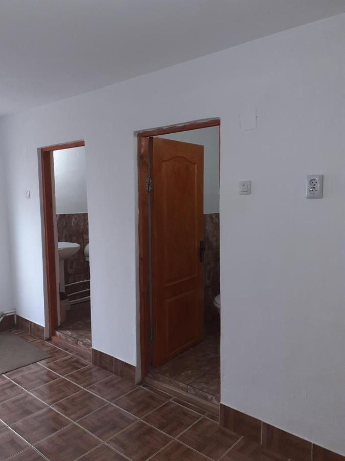 Hotel Casa Denisa Vidraru Transfgarasan à Căpăţîneni-Ungureni Extérieur photo