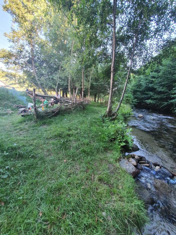 Hotel Casa Denisa Vidraru Transfgarasan à Căpăţîneni-Ungureni Extérieur photo