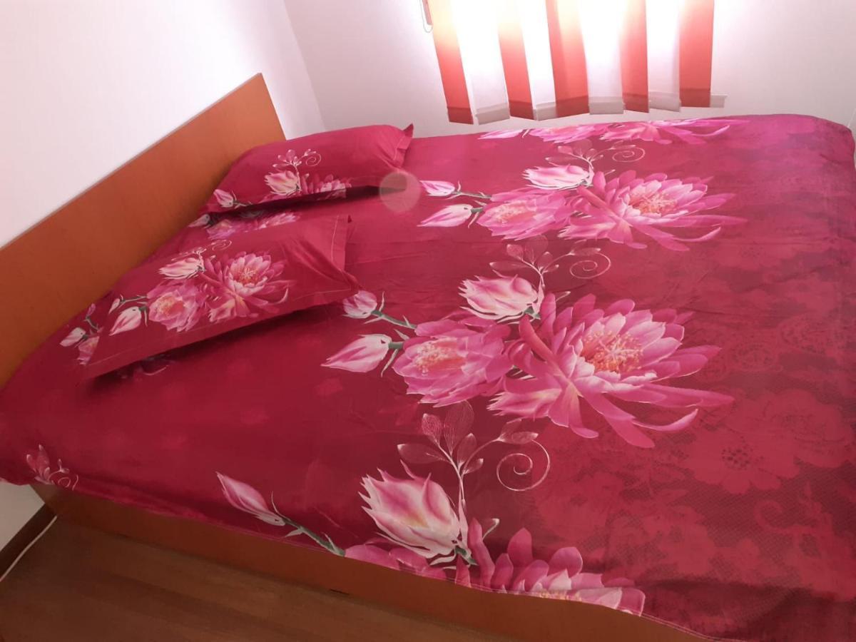 Hotel Casa Denisa Vidraru Transfgarasan à Căpăţîneni-Ungureni Extérieur photo