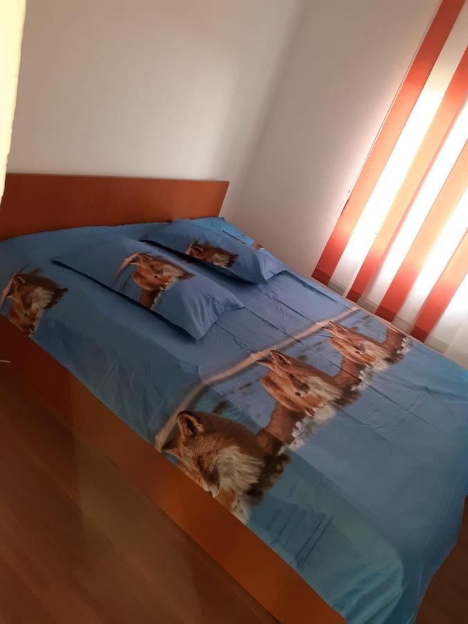 Hotel Casa Denisa Vidraru Transfgarasan à Căpăţîneni-Ungureni Extérieur photo