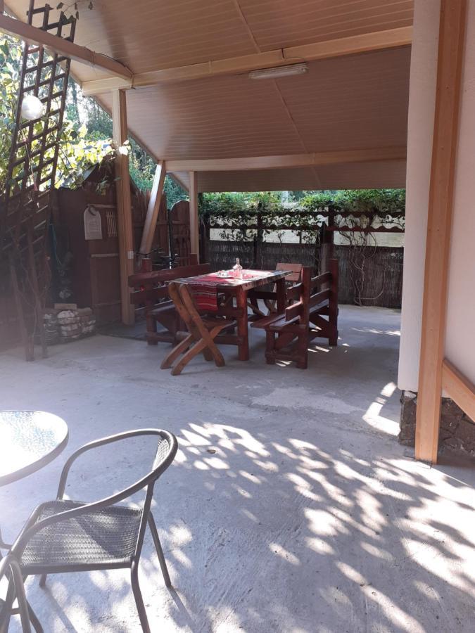 Hotel Casa Denisa Vidraru Transfgarasan à Căpăţîneni-Ungureni Extérieur photo