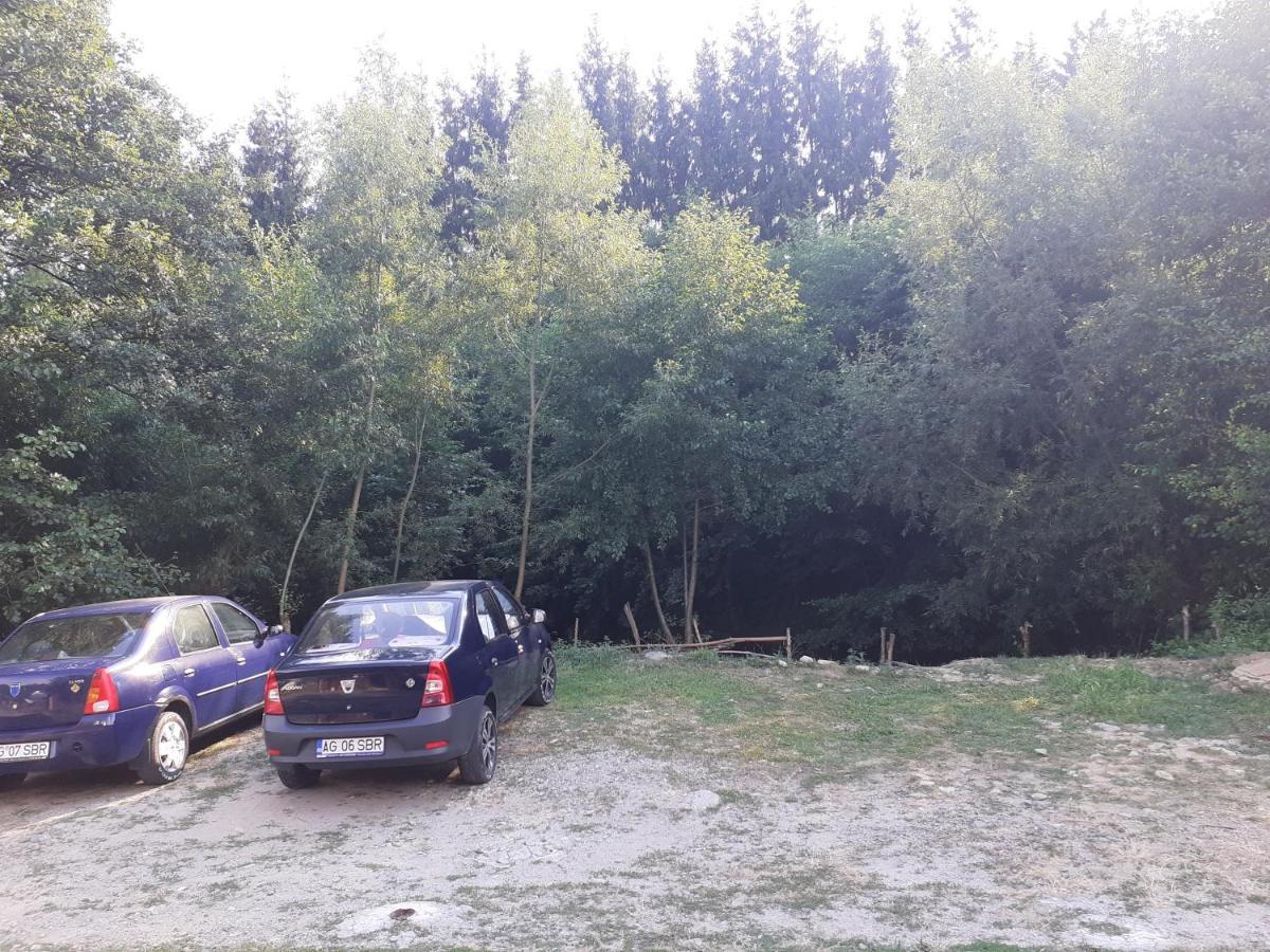 Hotel Casa Denisa Vidraru Transfgarasan à Căpăţîneni-Ungureni Extérieur photo