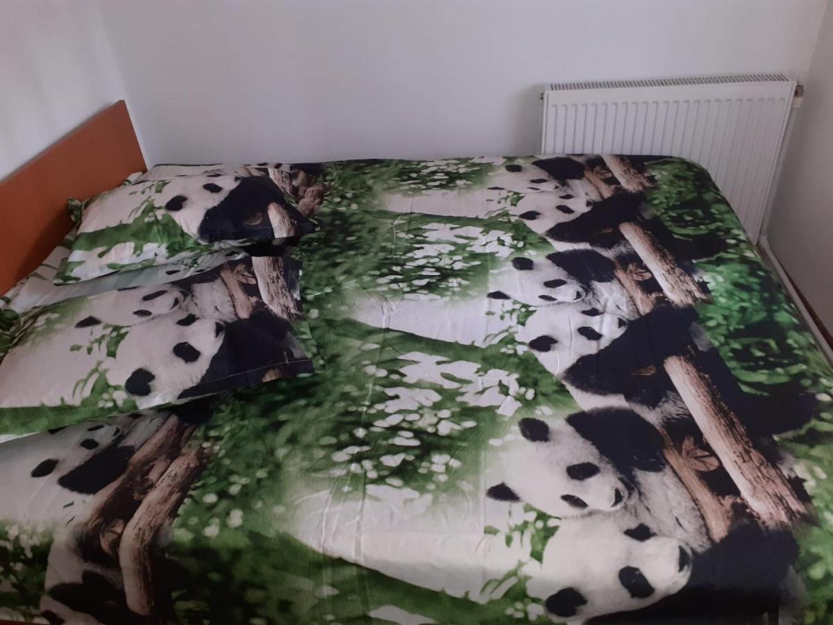 Hotel Casa Denisa Vidraru Transfgarasan à Căpăţîneni-Ungureni Extérieur photo