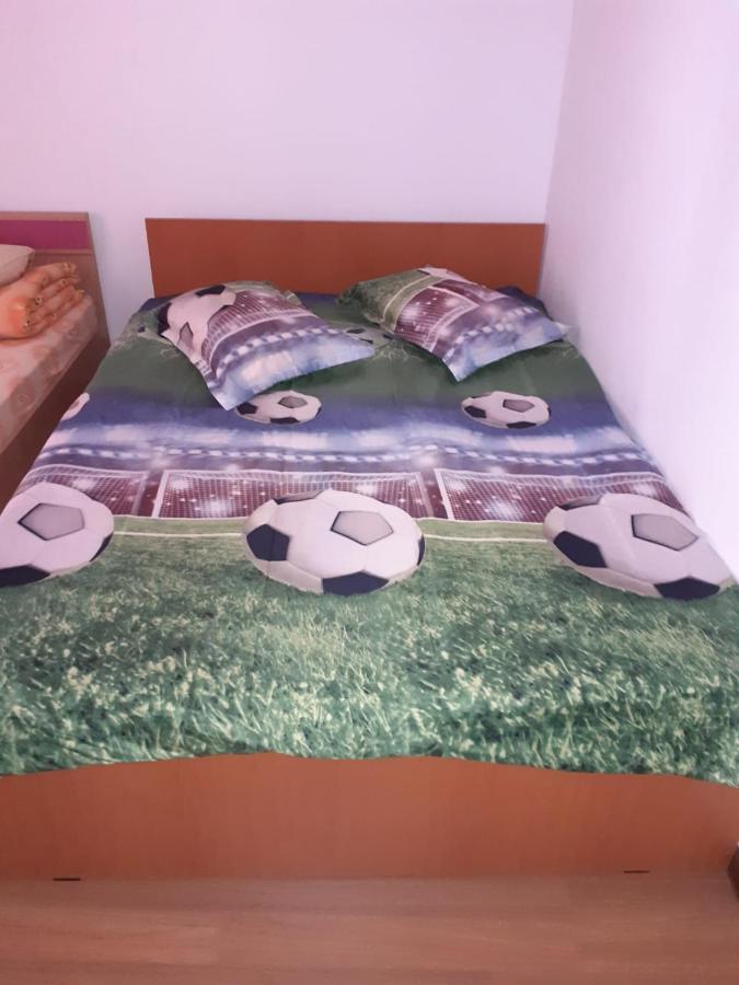 Hotel Casa Denisa Vidraru Transfgarasan à Căpăţîneni-Ungureni Extérieur photo