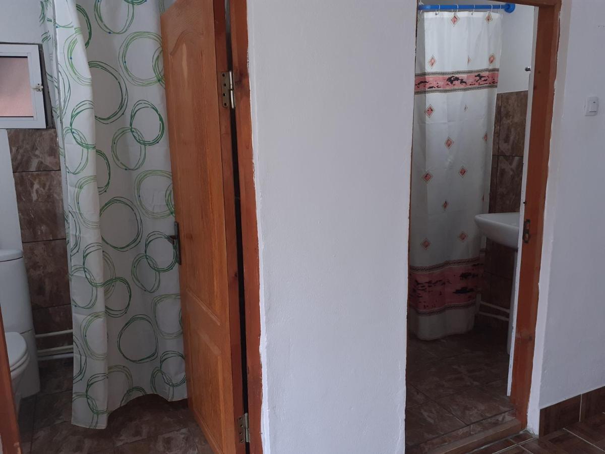 Hotel Casa Denisa Vidraru Transfgarasan à Căpăţîneni-Ungureni Extérieur photo