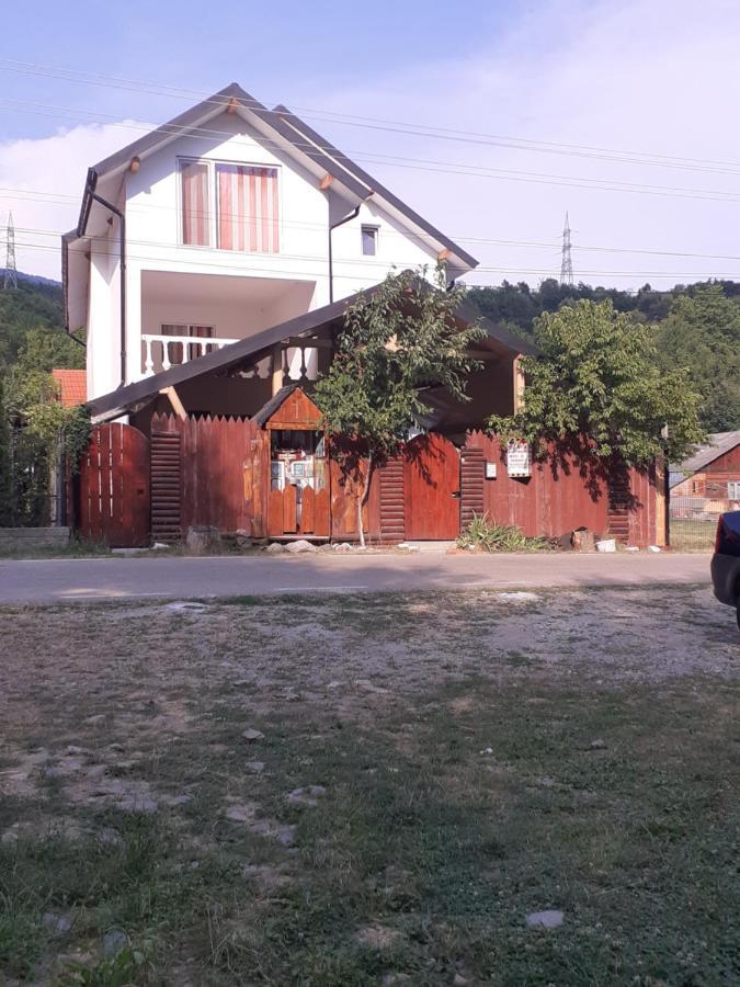 Hotel Casa Denisa Vidraru Transfgarasan à Căpăţîneni-Ungureni Extérieur photo