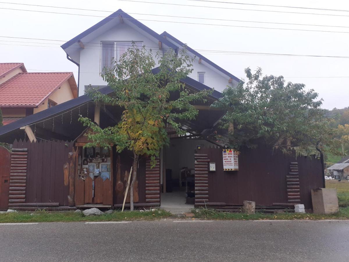 Hotel Casa Denisa Vidraru Transfgarasan à Căpăţîneni-Ungureni Extérieur photo