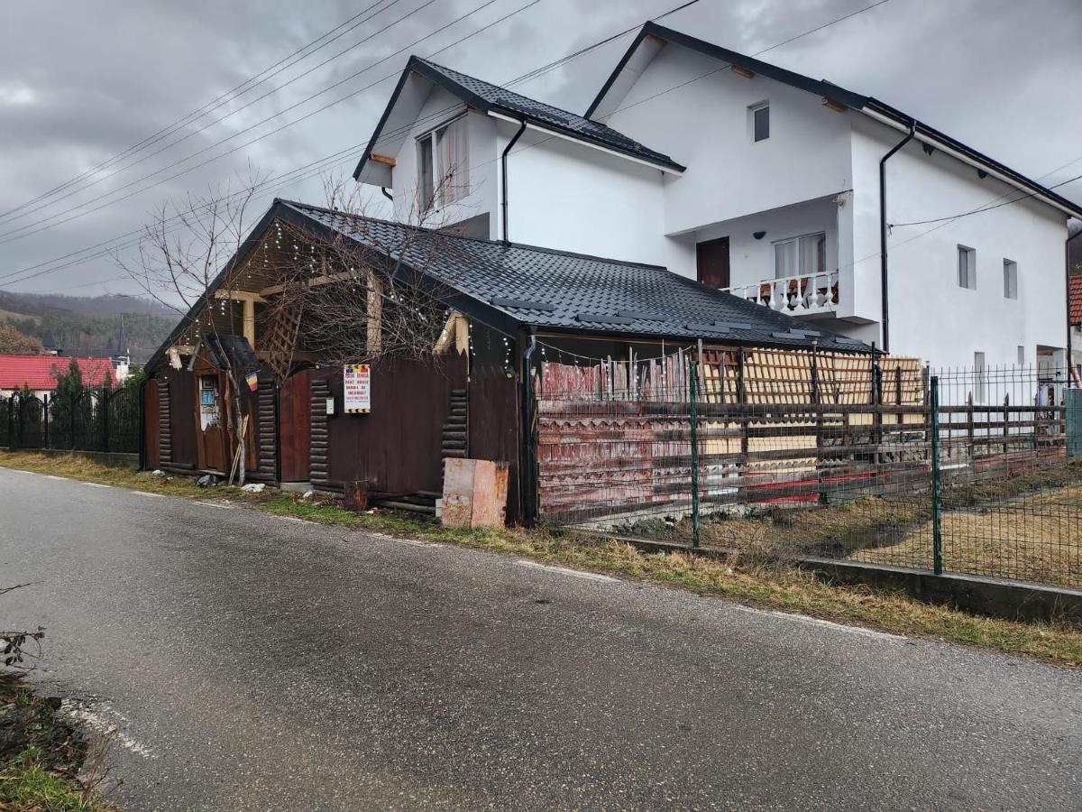 Hotel Casa Denisa Vidraru Transfgarasan à Căpăţîneni-Ungureni Extérieur photo