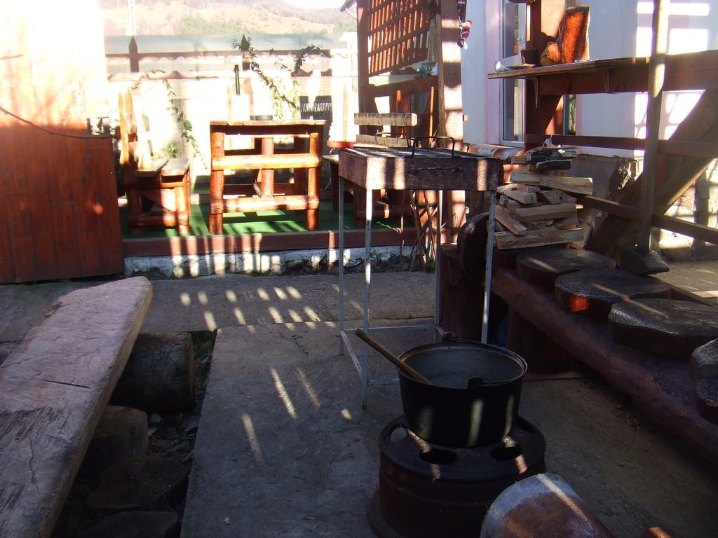 Hotel Casa Denisa Vidraru Transfgarasan à Căpăţîneni-Ungureni Extérieur photo