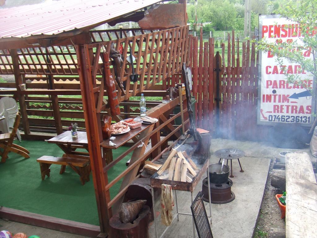 Hotel Casa Denisa Vidraru Transfgarasan à Căpăţîneni-Ungureni Extérieur photo