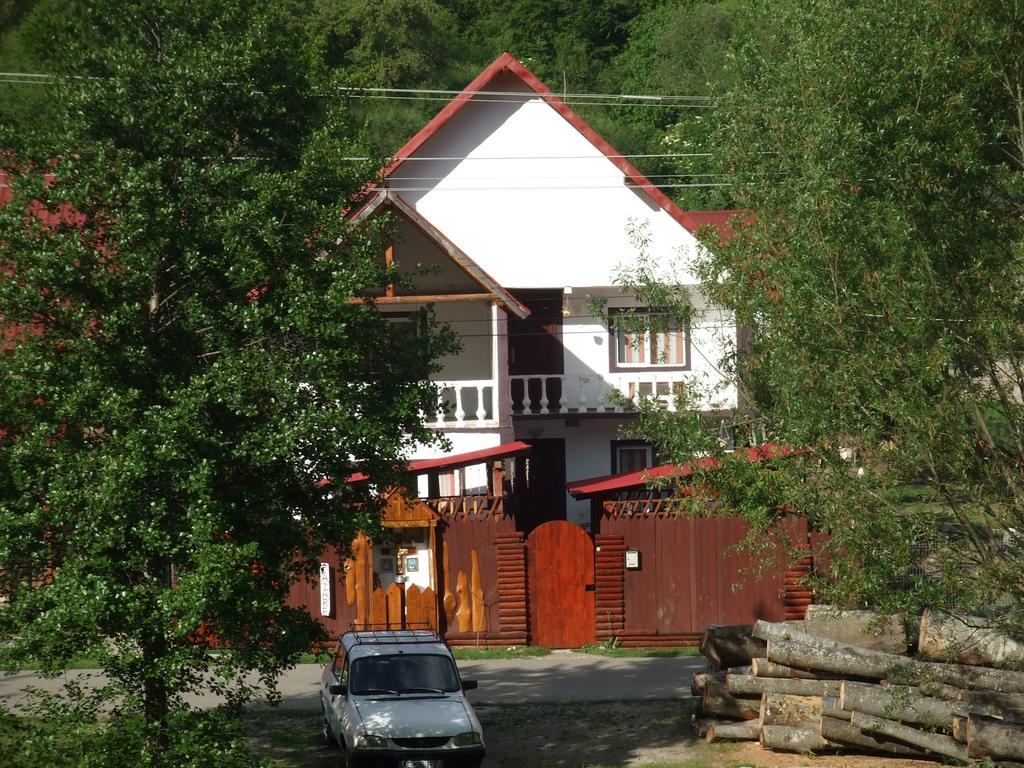 Hotel Casa Denisa Vidraru Transfgarasan à Căpăţîneni-Ungureni Extérieur photo